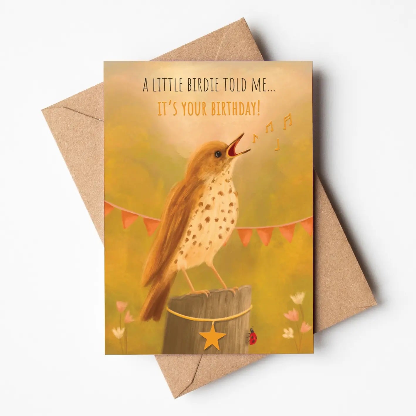Song Thrush Bird Birthday Greeting Card - SAMPLES SALE