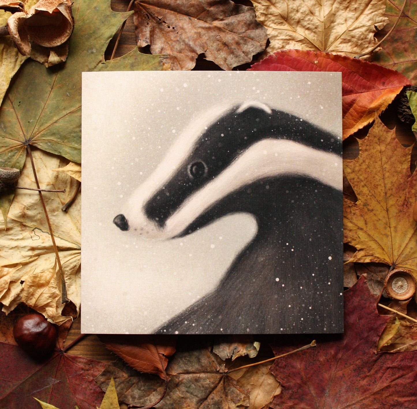 Winter Badger Greeting Card