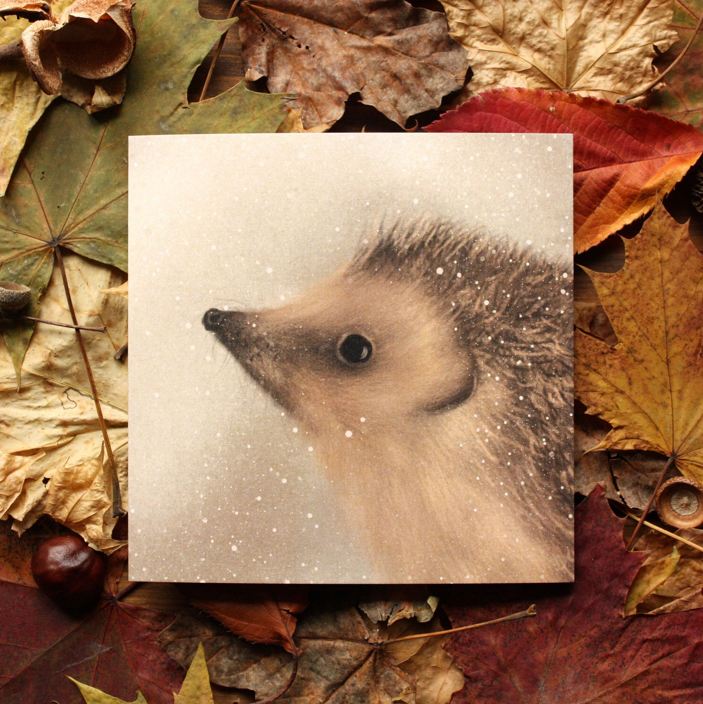 Winter Hedgehog Greeting Card