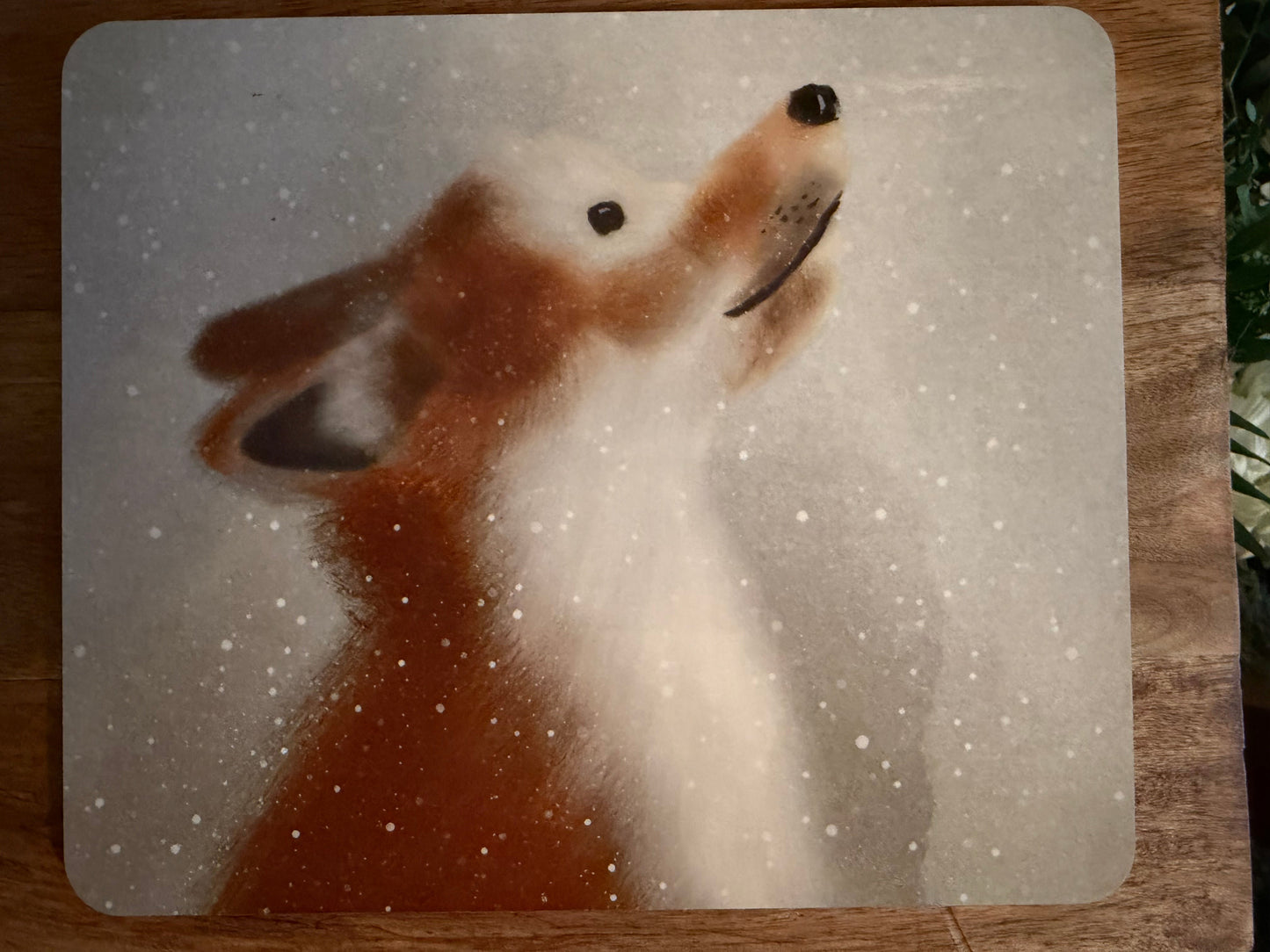 Woodland Animals Place Mat Set (Set of 4) - SAMPLE SALE