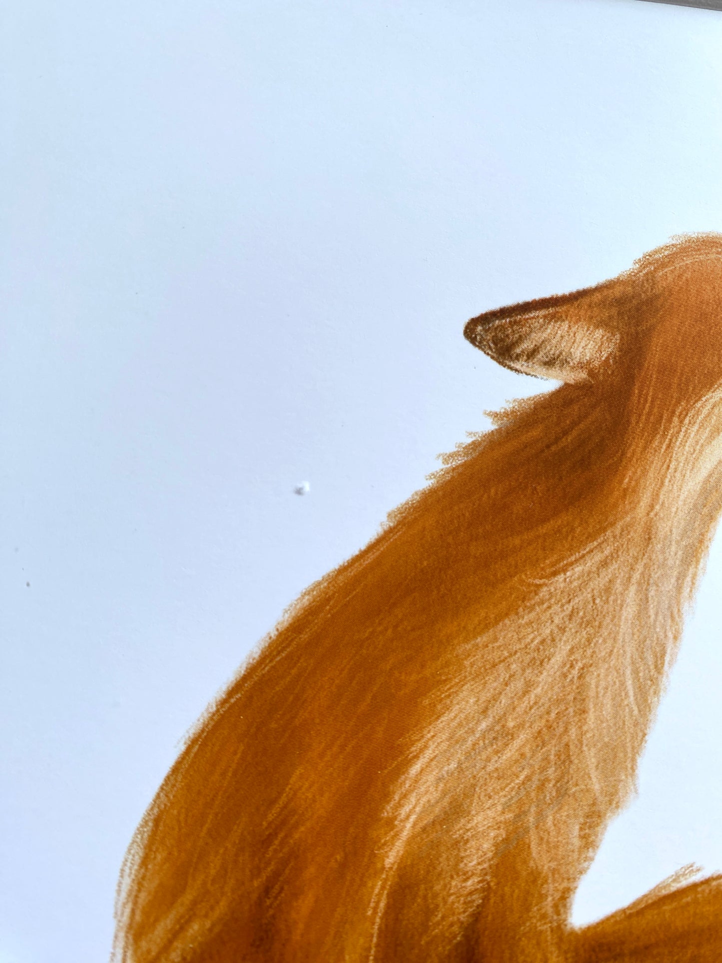 Sitting Fox Print with 9" x 9" Mount (Unframed) - SECONDS (small raised mark on print)