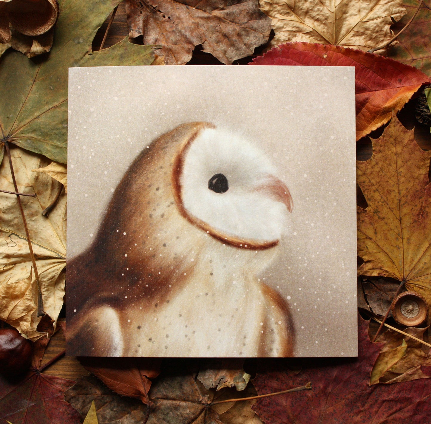 Winter Owl Greeting Card