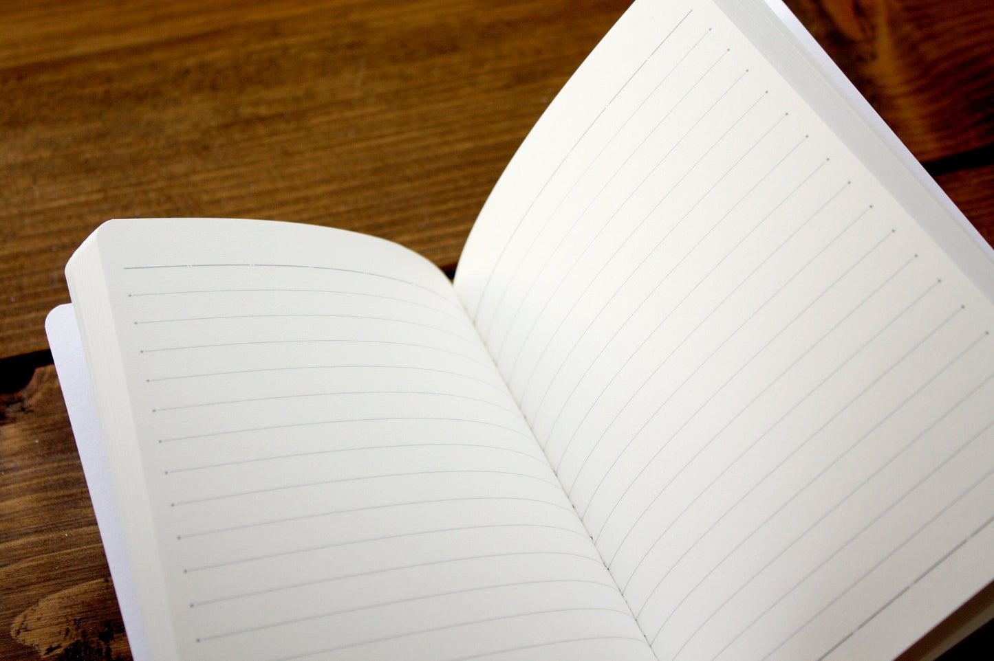 Luxury A6 Lined Fox & Moths Notebook