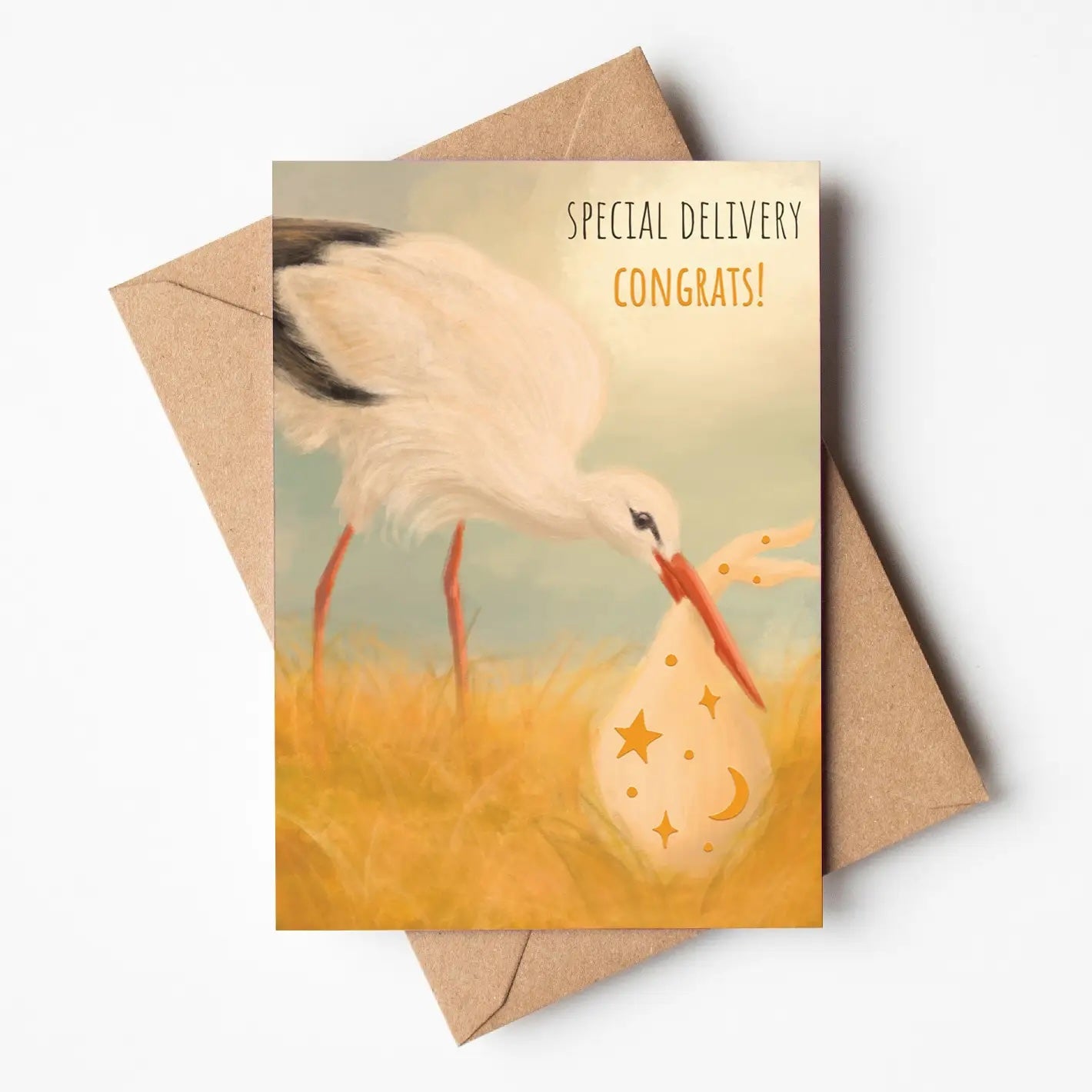 Special Delivery Stork Greeting Card - SAMPLES SALE