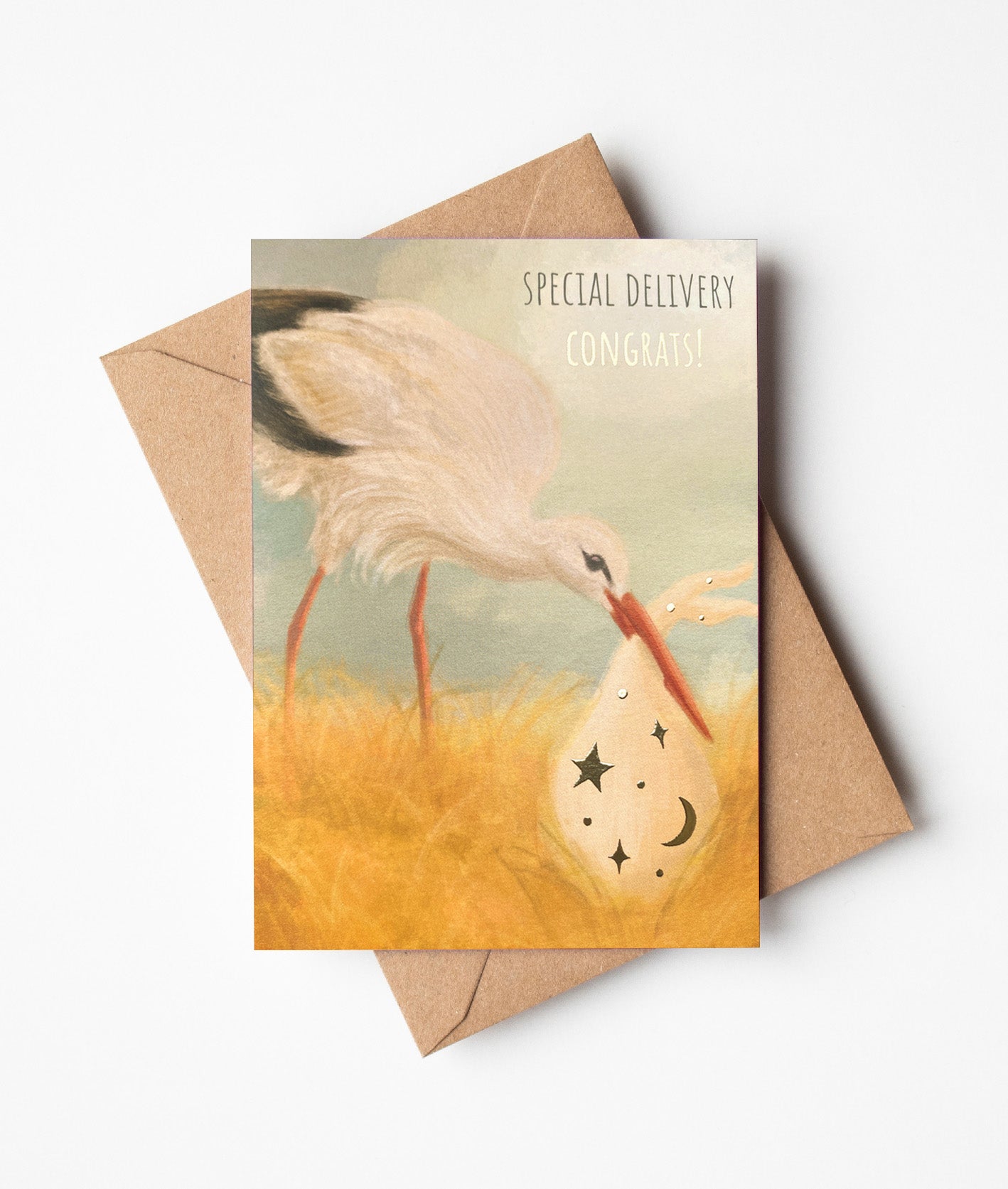Stork New Baby Greeting Card