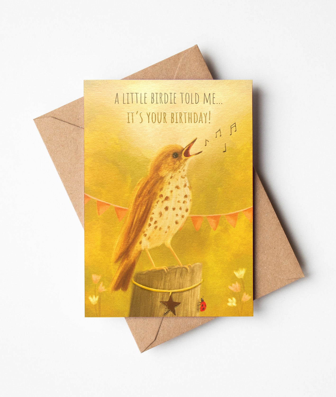 Song Thrush Birthday Greeting Card