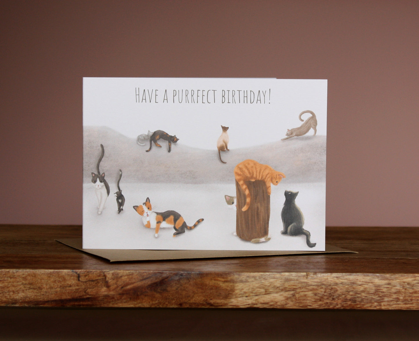 Have a Purrfect Birthday Greetings Card