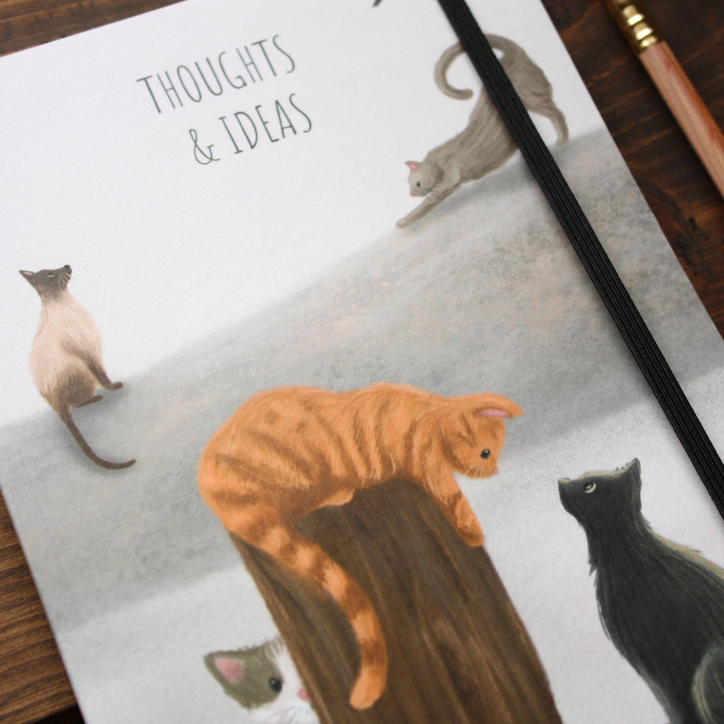 Luxury A5 Lined Cats Notebook