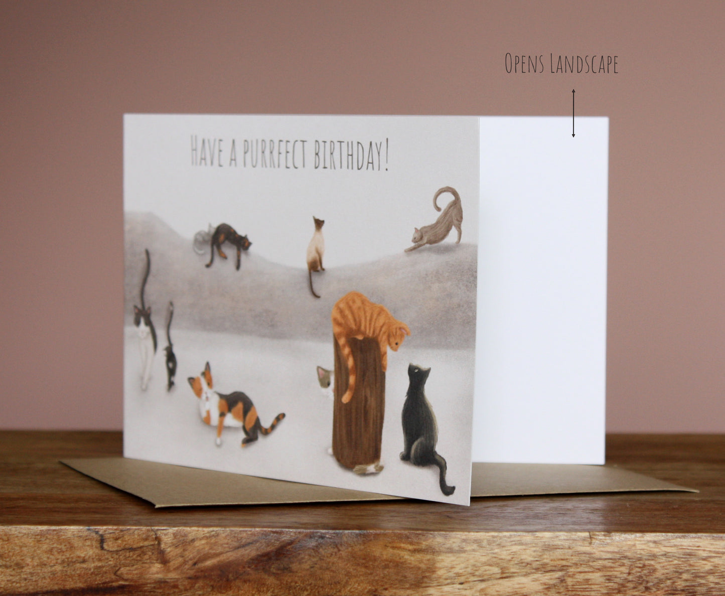 Have a Purrfect Birthday Greetings Card