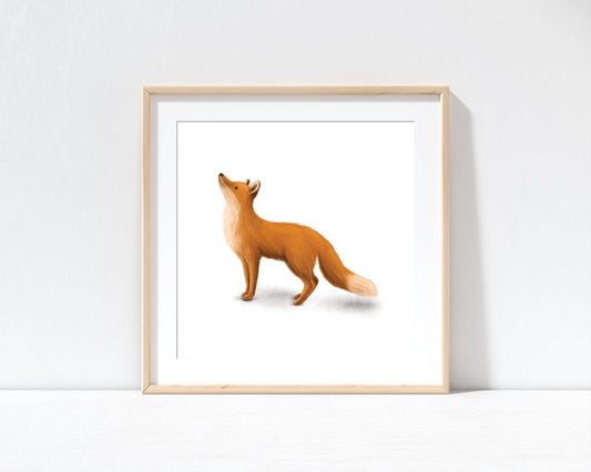 Standing Fox Print with 9" x 9" Mount (Unframed)