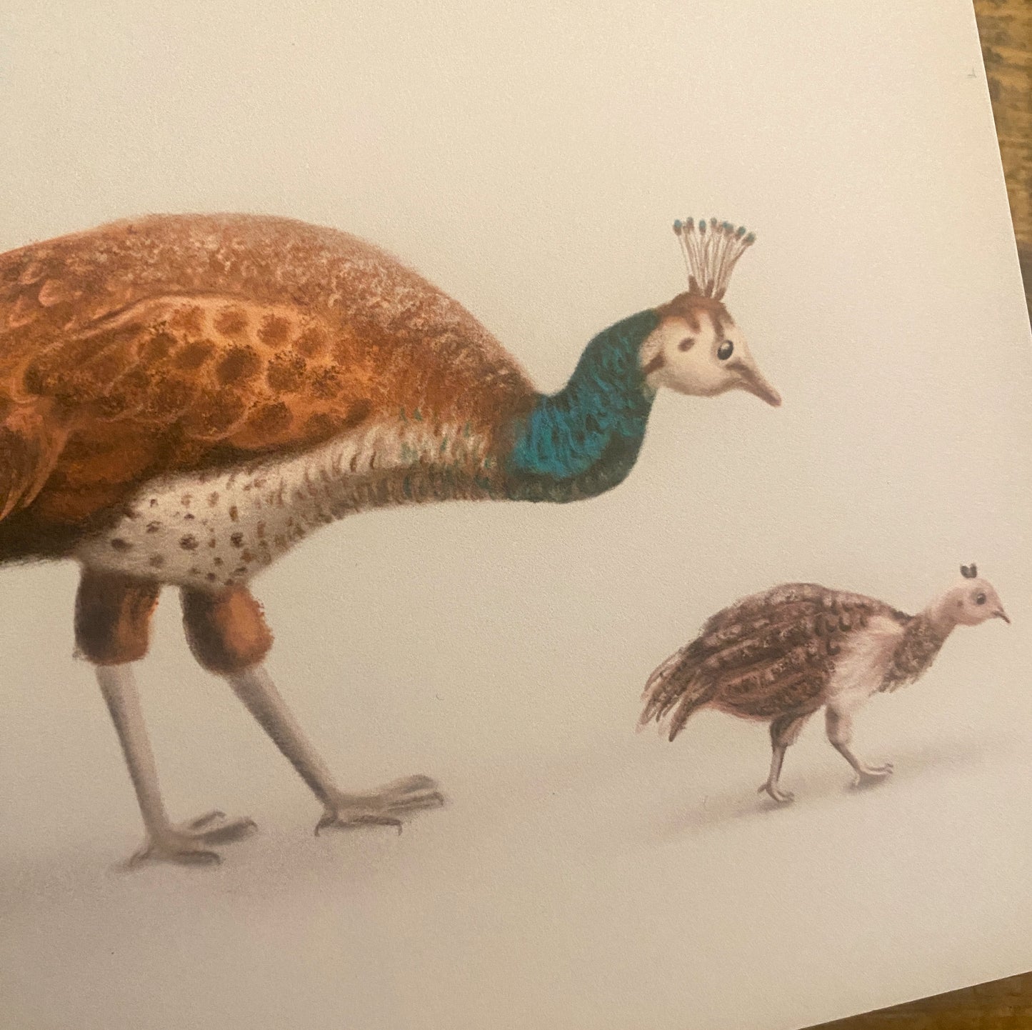 To a Very Special Mum Illustrated Peacocks Greeting Card