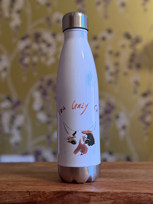 Crazy Cat Aluminium Insulated Water Bottle - SECONDS