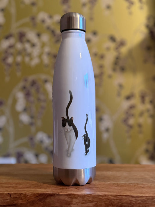 Cats Aluminium Insulated Water Bottle - END OF LINE SALE
