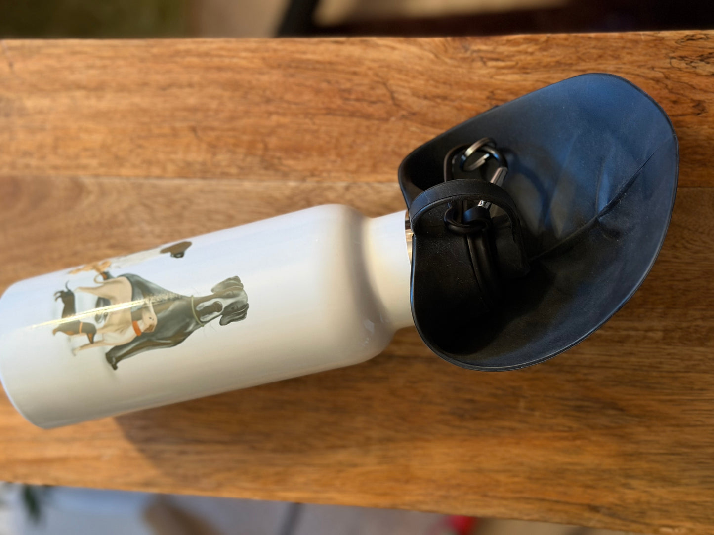 Dogs Aluminium Pet Water Dispenser - END OF LINE SALE