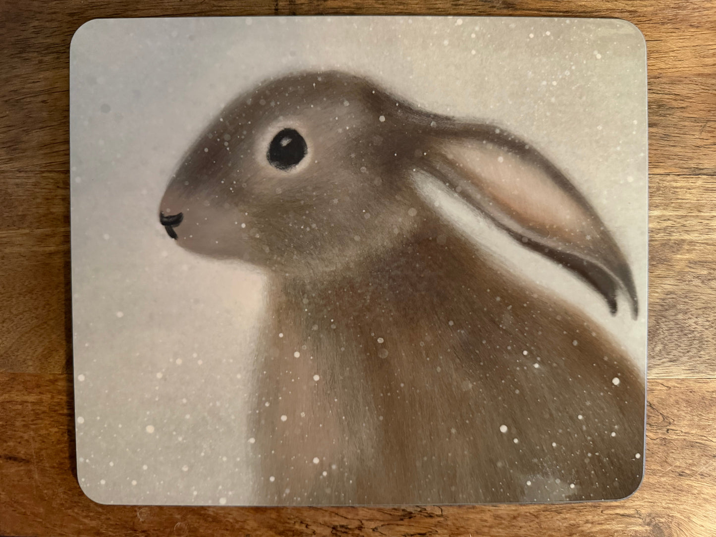 Woodland Animals Place Mat Set (Set of 4) - SAMPLE SALE