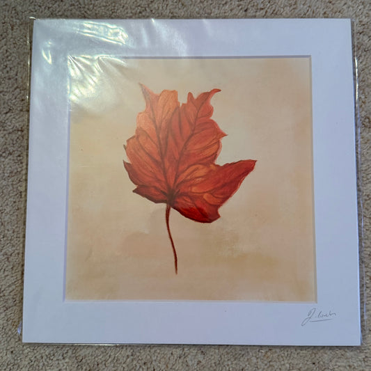 Autumn Leaf 210mm x 210mm Print (Unframed) - END OF LINE SALE