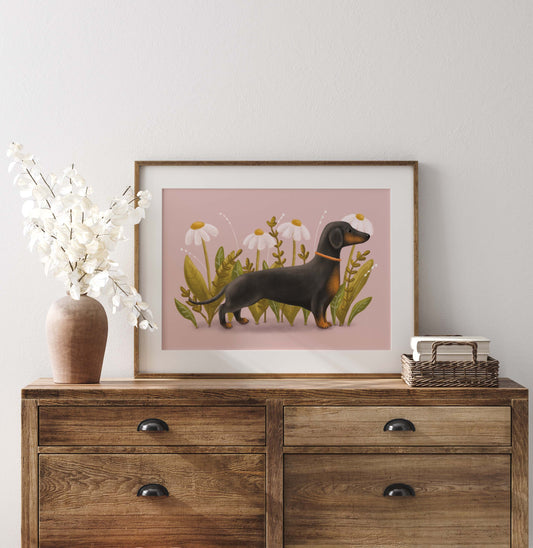 Dachshund 'Sausage' Dog Print with 16" x 12" Mount  (Unframed)