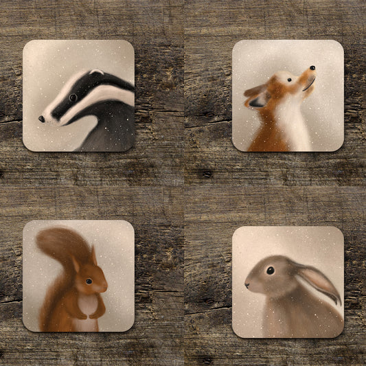 Wildlife Illustrated Gloss Coasters  (single)