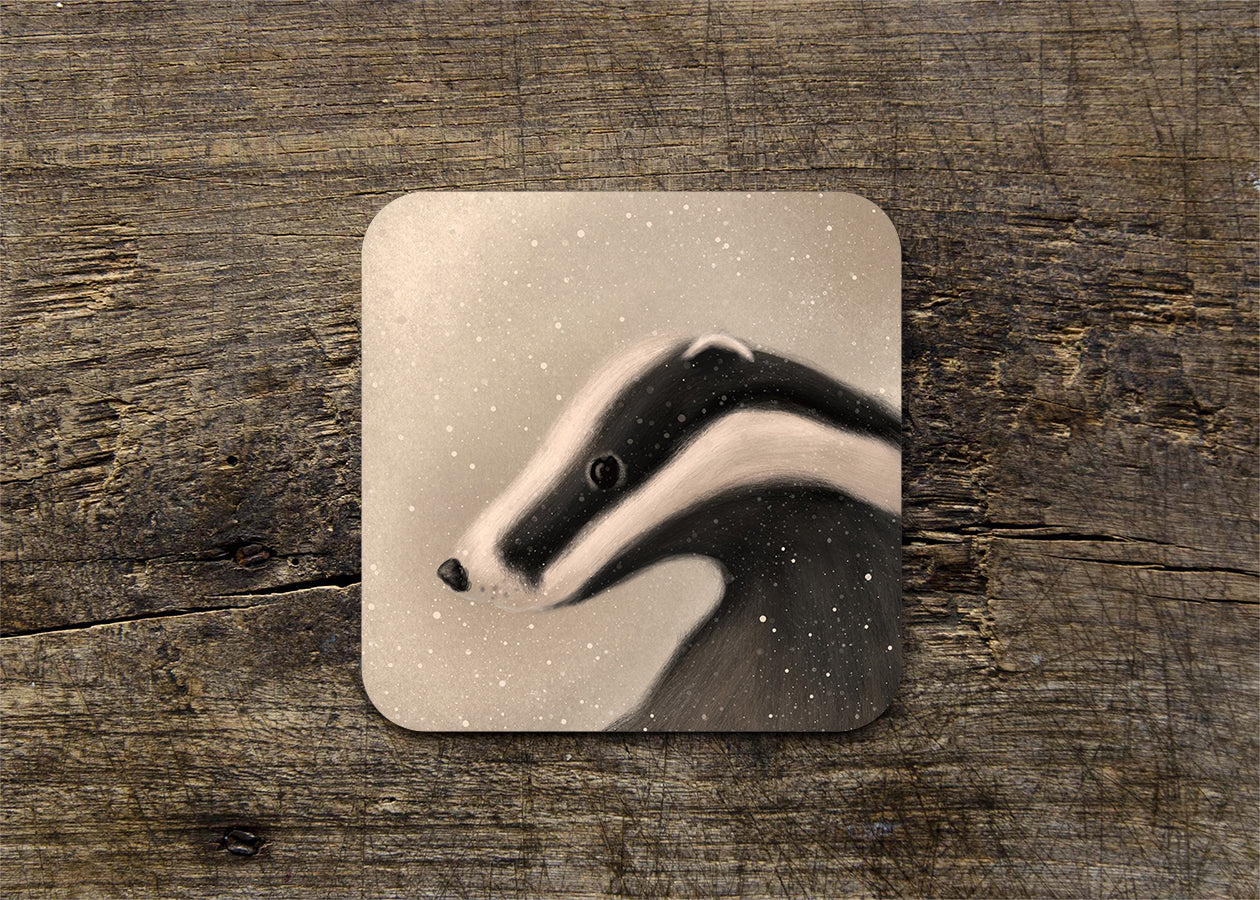 Wildlife Illustrated Gloss Coasters  (single)