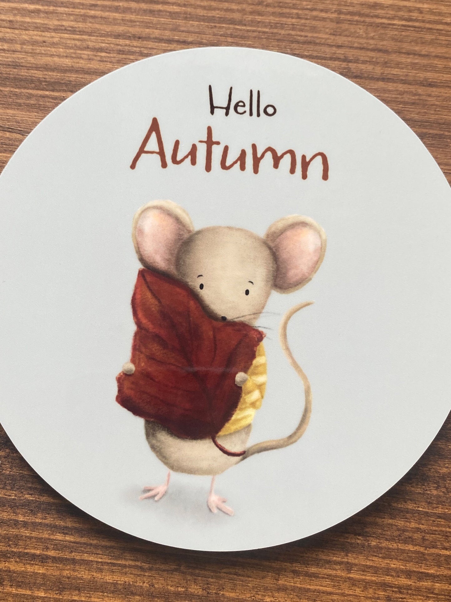 Mouse Illustrated Gloss Coaster (Single) - END OF LINE SALE