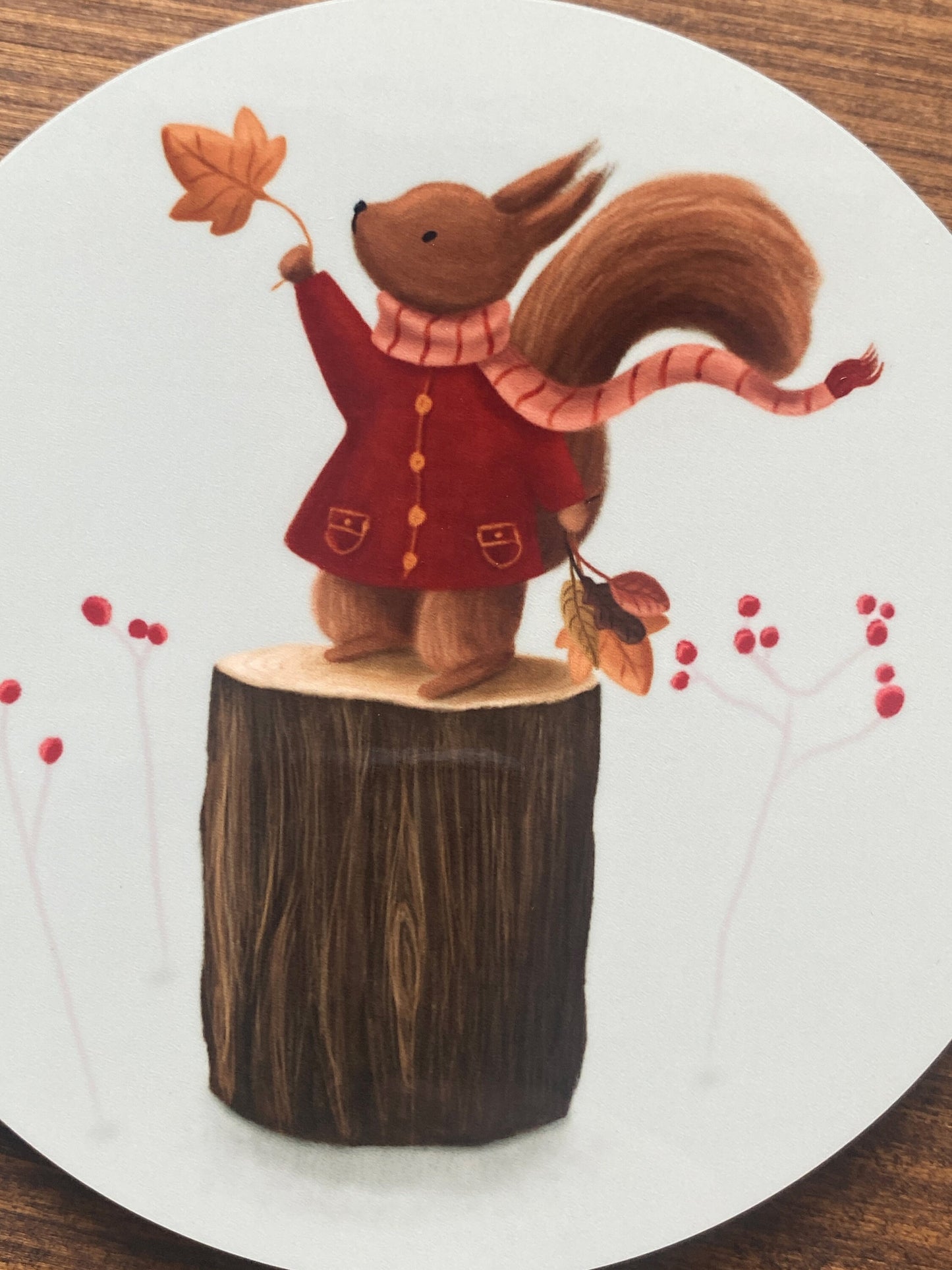 Squirrel Illustrated Gloss Coaster (Single) - END OF LINE SALE