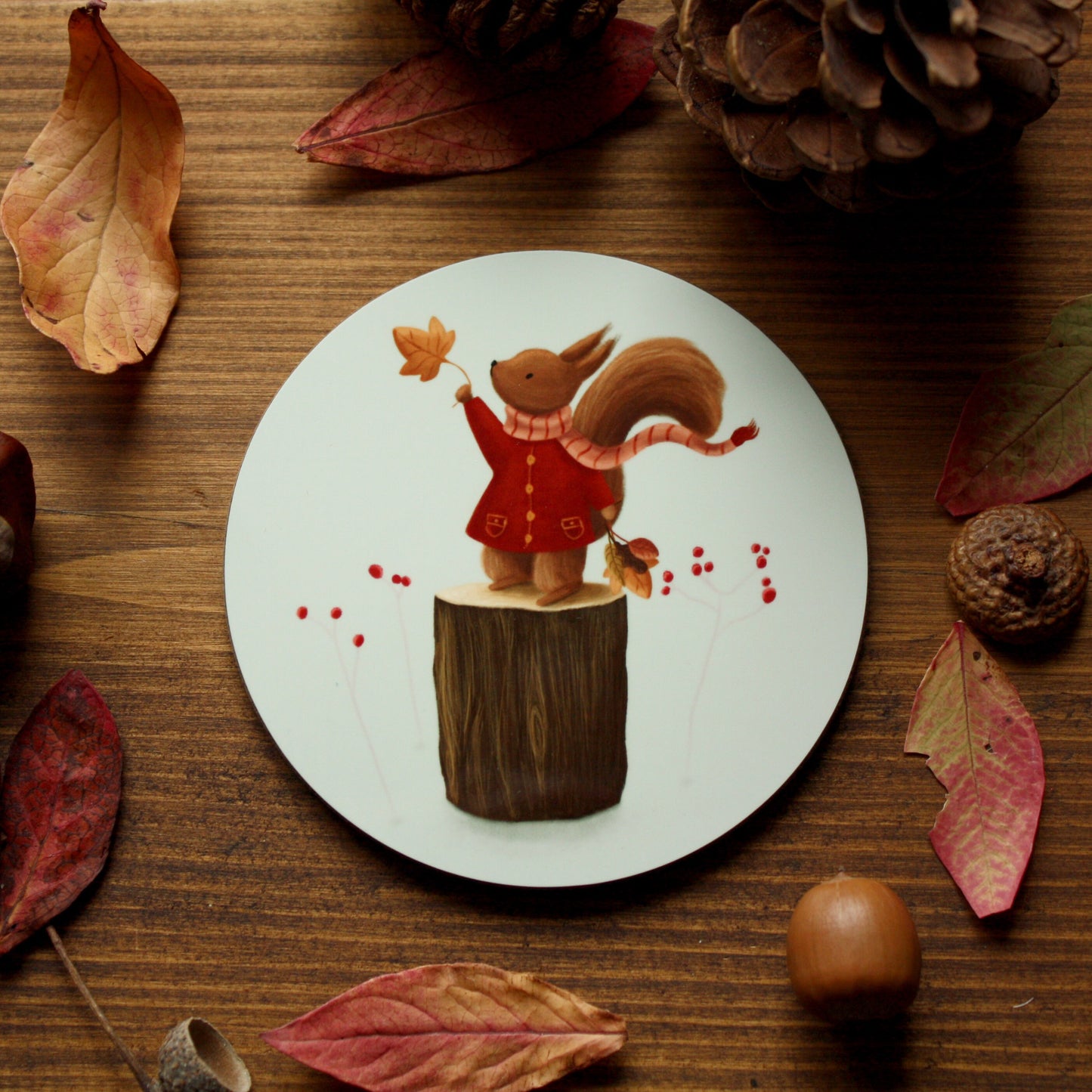 Squirrel Illustrated Gloss Coaster (Single) - END OF LINE SALE
